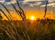 Приметы и обряды на 27 августа - Михеев день