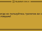 Заряд позитива обеспечен: самые смешные анекдоты на утро