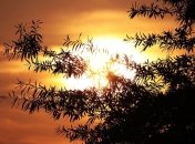 День Петра Солнцеворота: народные приметы и запреты 25 июня