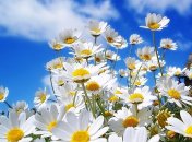 29 марта. Приметы дня