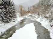 Науковці зазначають, що у Карпатах зменшується кількість джерел