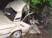ДТП в Киевской области: "ВАЗ" влетел в дерево, три человека погибли
