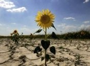 Украине грозит дефицит питьевой воды: озвучен прогноз