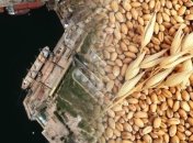 Зерно завантажують у Криму