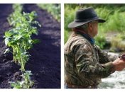 Лунный календарь огородника и рыболова на июнь 2021: благоприятные дни