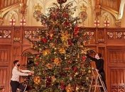 Праздник по-королевски: в Виндзорском дворце установили роскошную ель к Рождеству (фото)