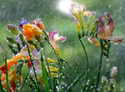 Погода подготовила сюрпризы для украинцев на ближайшие недели