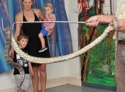 В детском саду нашли змеиное логово c питонами (Фото, Видео)