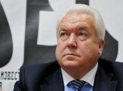 Владимир Олийнык: в решениии ЕСПЧ нет пункта "освободить Тимошенко"