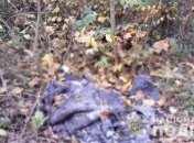 Двое детей остались сиротами: Киевщину потрясло жестокое убийство женщины (фото, видео)