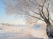 3 декабря. Приметы дня