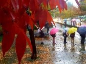 В Украину ворвется циклон: погода резко изменится 