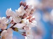 Прогноз погоды в Украине на 7 мая: будет солнечно