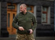 Валерий Залужный