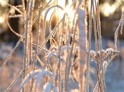 Прогноз погоды на 9 января: в Украине солнце и морозы до -15