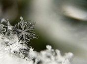 Морозы наступают: прогноз погоды на начало недели