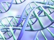 Ученые нашли новые способы для редактирования генома человека