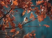 У цей день душі померлих перетворювалися на птахів