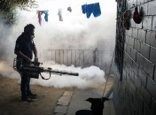 В Гватемале обнаружены 105 больных лихорадкой Зика