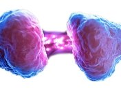 Открыт новый ген, который отвечает за мышление