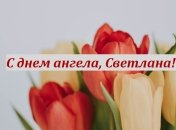 Светлана очень отзывчивый человек, который всегда придет на помощь