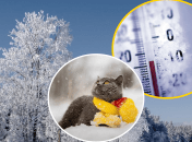 Морозы не отступают из Украины