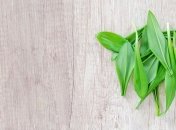 Чем хороша черемша и как ее употреблять 