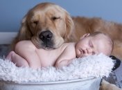 20 безумно милых фото младенцев и собак