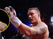 Фабио Уордли и Александр Усик