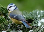 12 ноября - приметы в день памяти иконы Божией Матери Озерянской