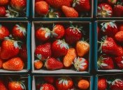 Виростити велику й солодку полуницю не так вже й складно