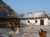 У Росії дід з бабусею спалили в печі свого онука