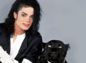 "Я не гей": в сети "всплило" видео допроса Джексона по делу о педофилии (Видео)