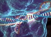 CRISPR устраняет гены, пропускающие ВИЧ
