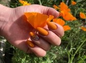 Помаранчеві нігті у трендах літнього сезону 2023 року