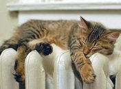 Жители Киева призывают власти города отключить отопление