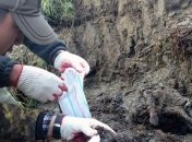 Ученые спустятся в котловину, и будут искать древние растения