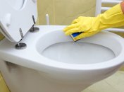 Как убрать известковый налет в унитазе