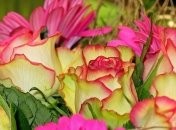 Короткие поздравления с Днем рождения на 16 апреля