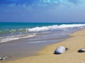 За греческий остров предложили $4 млн