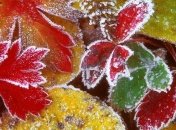 Прогноз погоды на 9 октября: ночью заморозки