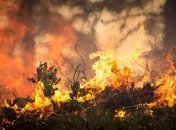 Пожар на свалке, в Черниговской области, произошел из-за поджога