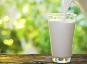 Молоко и молочные продукты: какой вред для организма человека