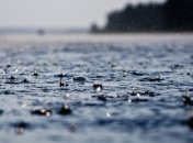 Прогноз погоды на 10 июня: переменная облачность и дожди