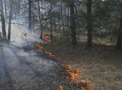 В Чернобыльской зоне и Житомирской области продолжают тлеть леса  