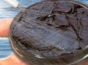 Сакский курорт - лидер среди крымских здравниц