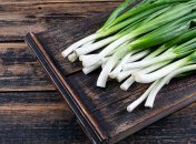 Чем нельзя подкармливать лук