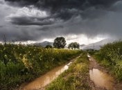 Погода на сьогодні: в Україні спека до +36°, місцями грози