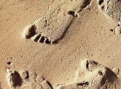 Современная походка человека возникла до появления рода Homo