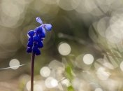 Прогноз погоды на 29 апреля в Украине: местами по-летнему тепло